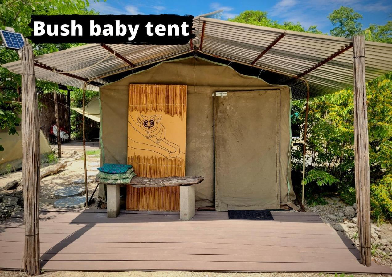 Eselbe Camp Backpackers Pansiyon Nata Dış mekan fotoğraf